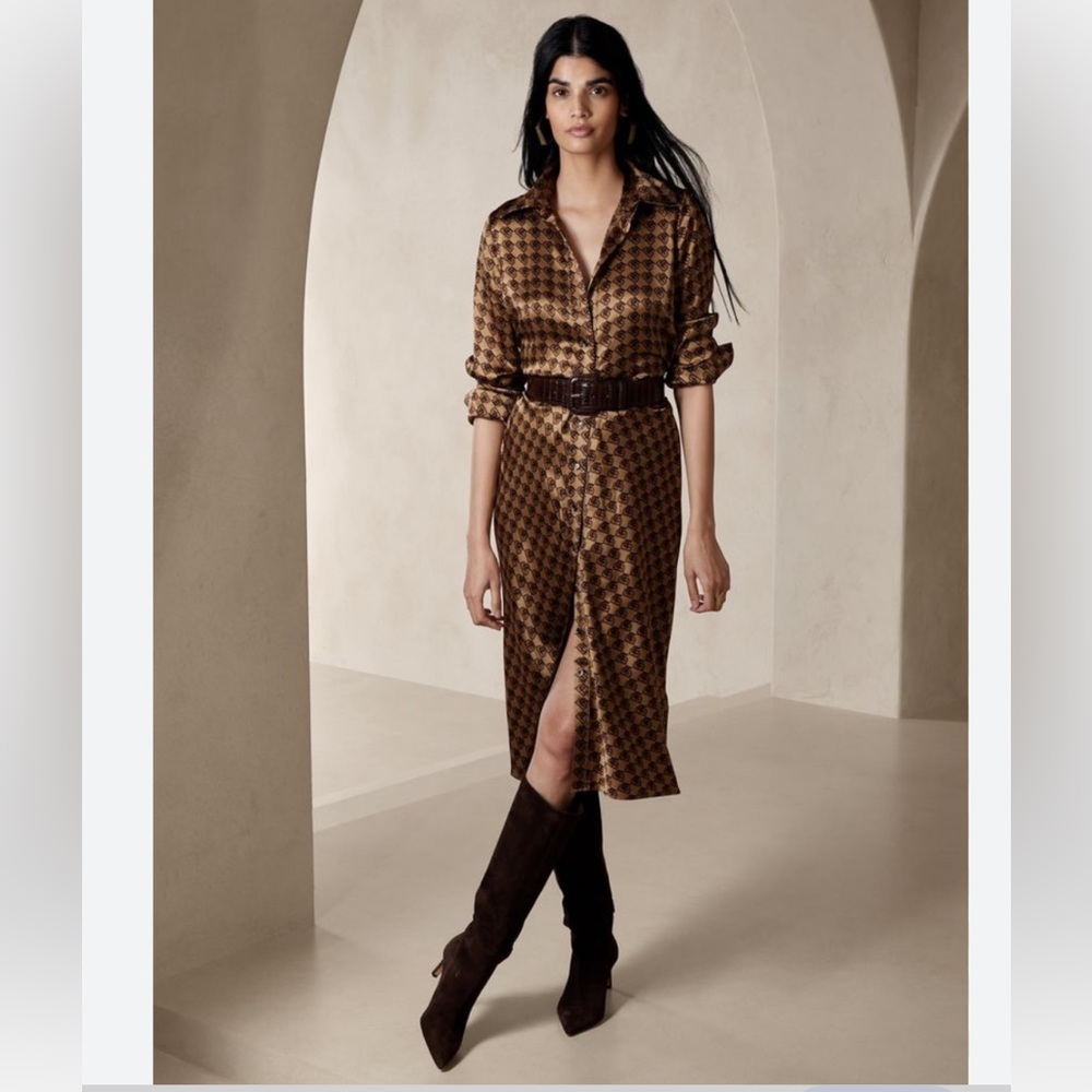 NWT Banana Republic silk enchant shirtdress.